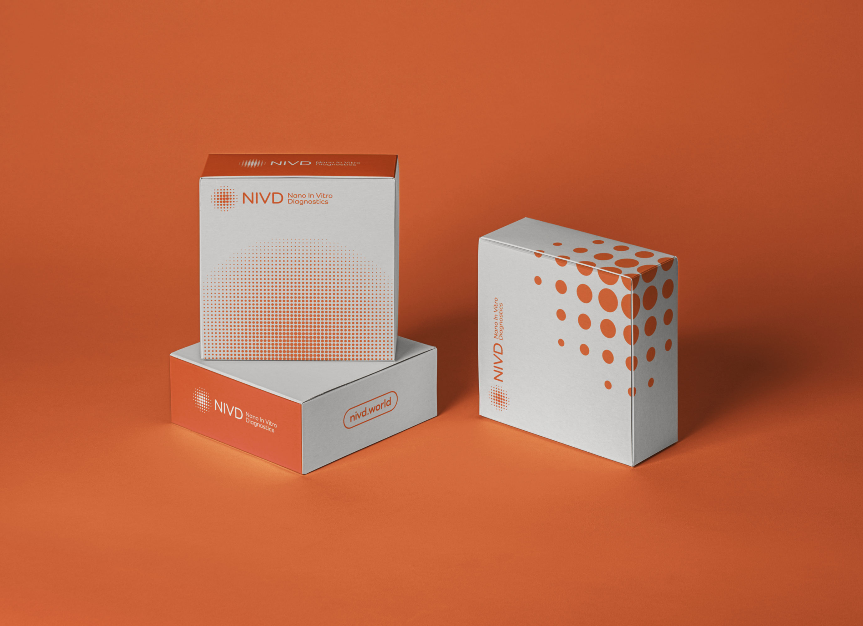 Screenshot 2025-03-09 at 23.01.37