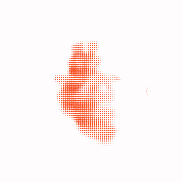 NIVD — Decoding the invisible.